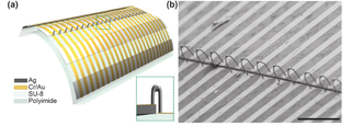 Illustration for article titled A New High-Res 3D Printer Can Print Objects Smaller Than Blood Cells